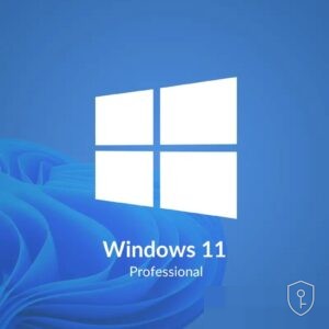 Microsoft Windows 11 Pro – 5PC — licence originale à acheter en Suisse - CHKEY