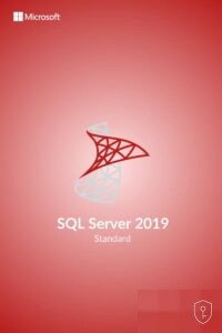 Microsoft SQL Server 2019 Standard – Licence serveur de base de données