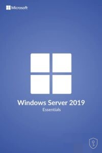Windows Server Essentials 2019 – Licence serveur pour petites structures (25 utilisateurs max.)