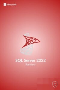 Microsoft SQL Server 2022 Standard – Licence serveur de base de données