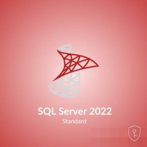 Microsoft SQL Server 2022 Standard — licence originale à acheter en Suisse - CHKEY