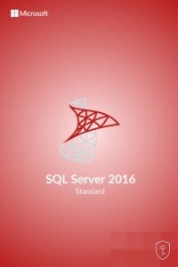 Microsoft SQL Server 2016 Standard – Licence serveur de base de données