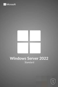 Windows Server 2022 Standard – Licence serveur