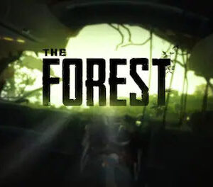 The Forest Steam Account